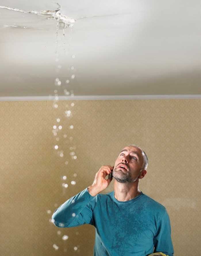 Какие сроки установлены для предъявления требований о возмещении