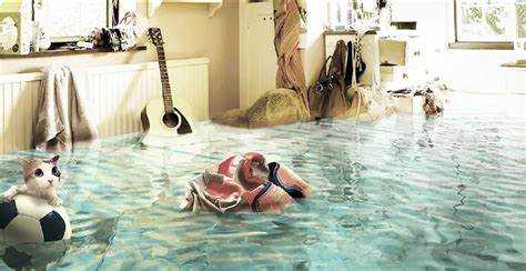 Роль документов и актов при подтверждении ущерба