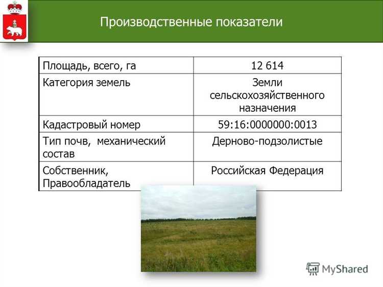 Кто может быть собственником или арендатором участков общего пользования