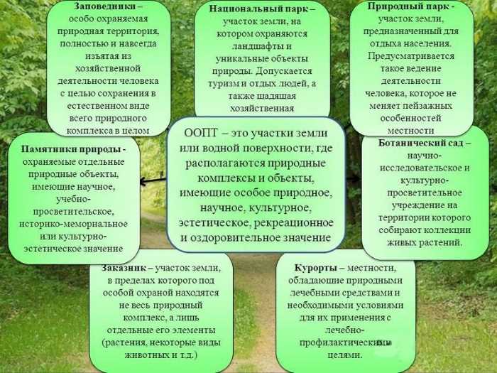 Зона окс на оопт что это Зона окс на оопт что это