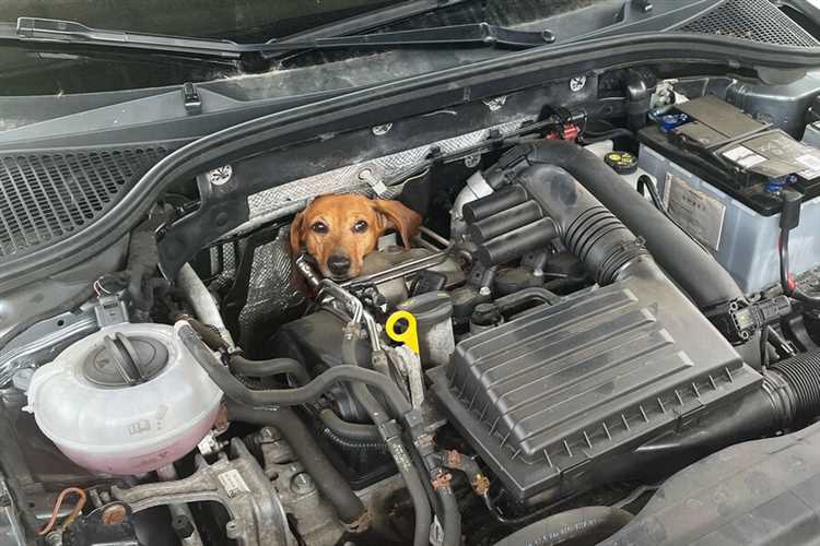 Как устроен ЗТК: основные компоненты и принцип действия