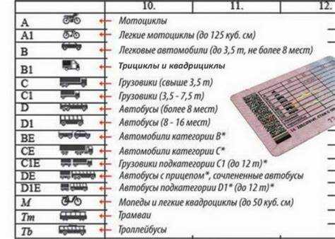 Как статья 14 применяется в российском и международном законодательстве