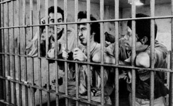 Какие дела по статье 206 становились резонансными и почему