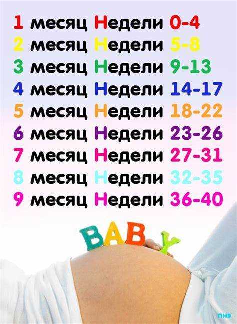 К какому месяцу чаще всего относится 23 неделя