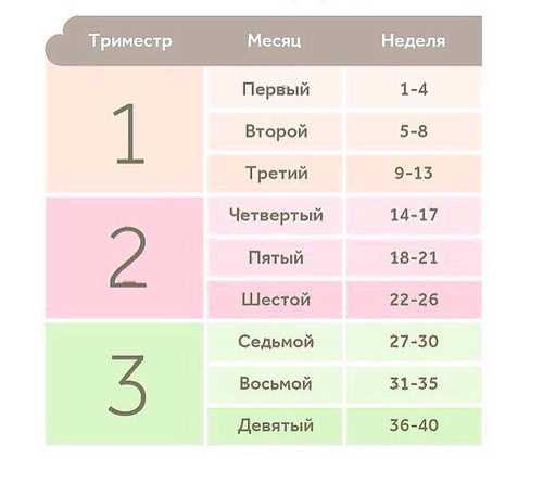 Примеры расчета 26 недель в месяцах для различных ситуаций