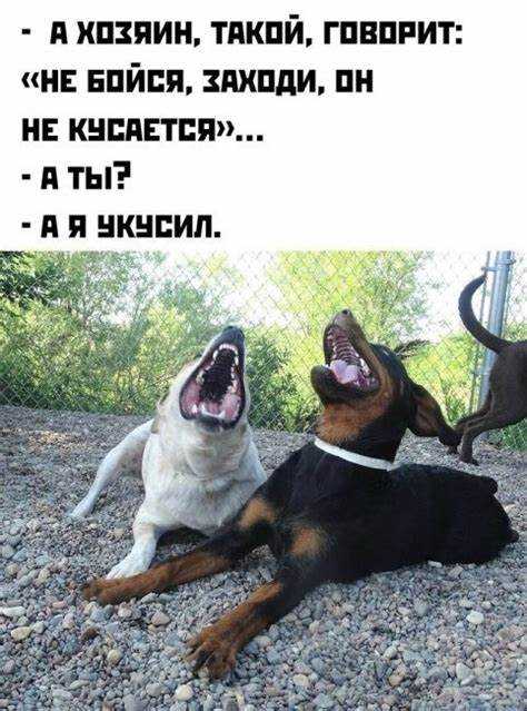 Как вести переговоры с текущими обитателями при возвращении