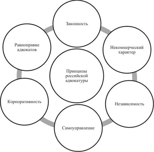 Как адвокатура помогает в обмене опытом и повышении квалификации