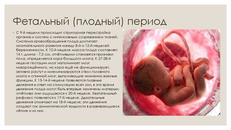 Кто контролирует соблюдение сроков агитации