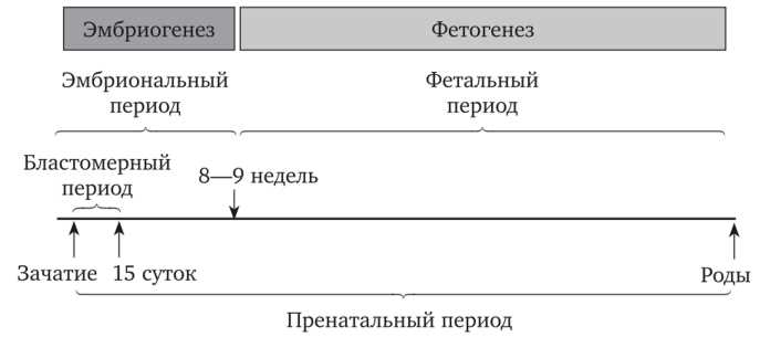 Что разрешено и запрещено в агитационный период