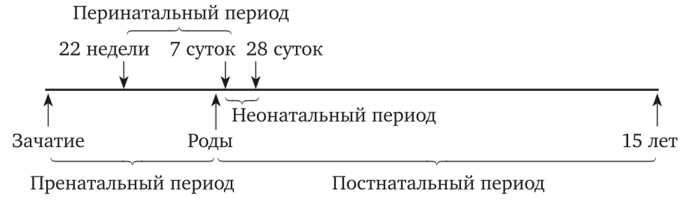 Сколько длится агитационный период при разных видах выборов