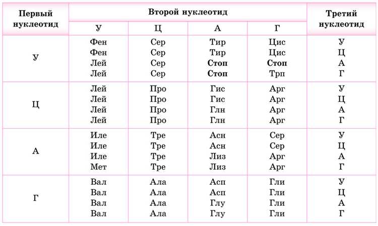 Где посмотреть аналитический код раздела в договоре или документе