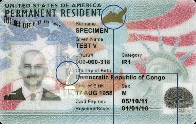 Как IRS использует данные для выявления налоговых нарушений