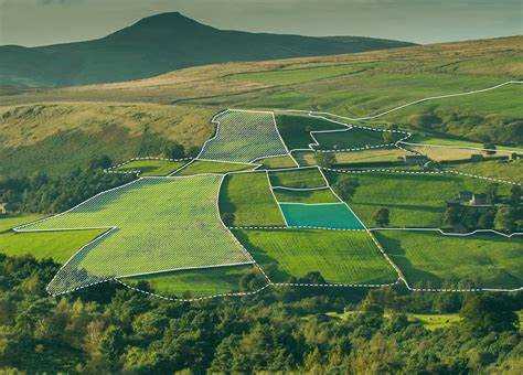 Проверка оснований для изменения адреса земельного участка