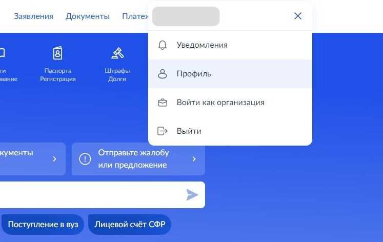 Как обновить паспорт через Госуслуги после смены фамилии