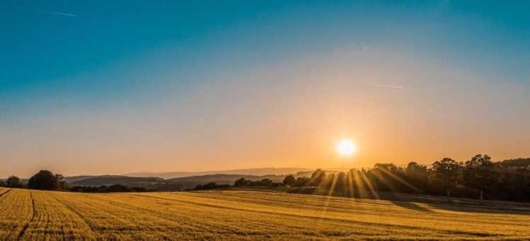 Как внести изменения ВРИ в ЕГРН после одобрения