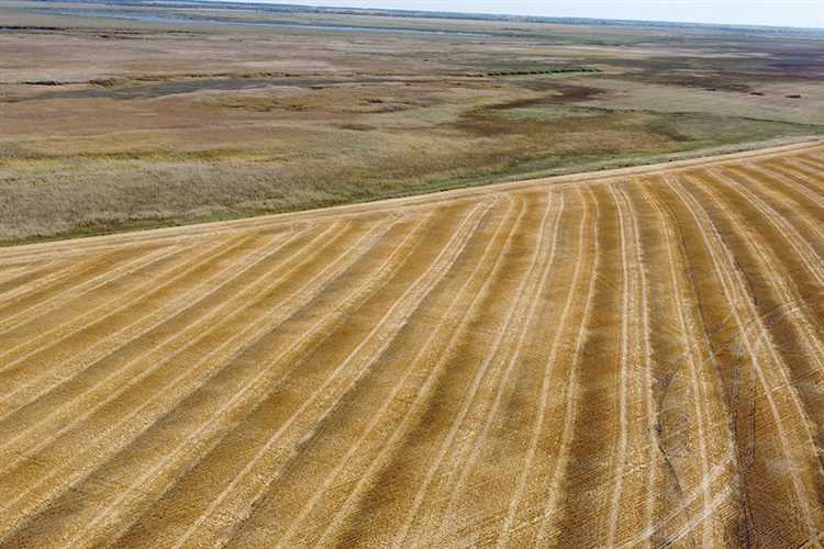 Влияние севооборота на структуру и плодородие почвы