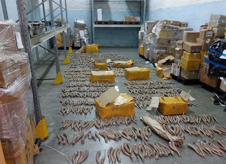 Как избежать мошенничества при покупке конфиската