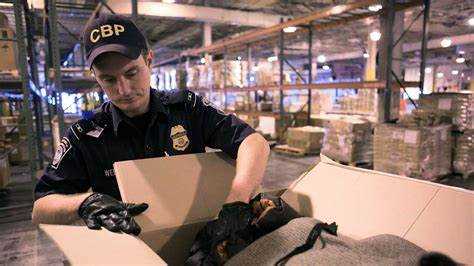 Как купить конфискат с таможни