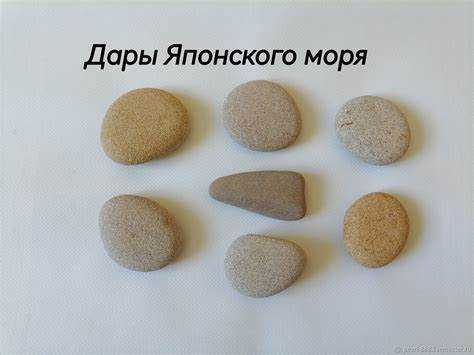 Как купить ооо подводные камни Как купить ооо подводные камни