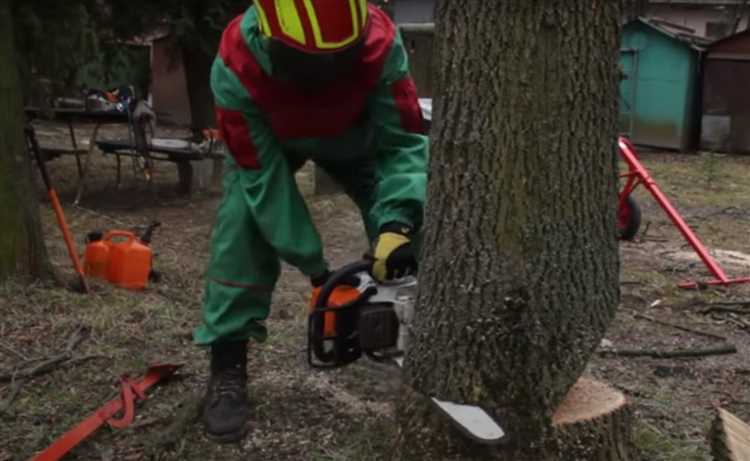 Уголовная ответственность: в каких случаях возбуждается дело