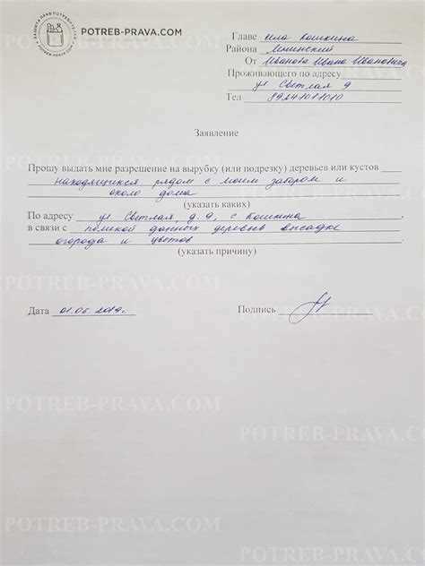 Какие документы прикладываются к заявлению на спил дерева