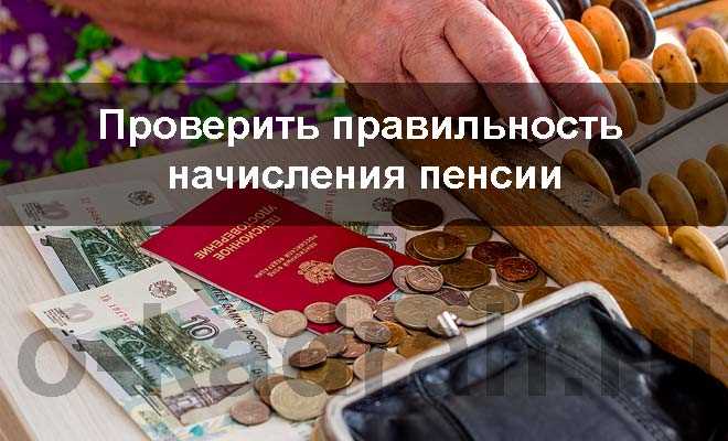 Сроки рассмотрения заявления и порядок получения ответа