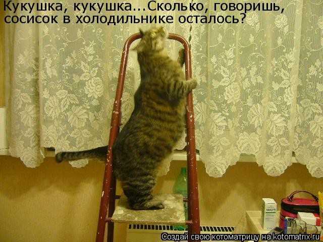 Как навредить соседу в частном доме Как навредить соседу в частном доме