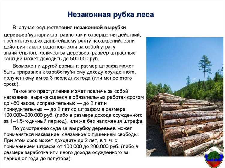 Какие признаки указывают на незаконную вырубку деревьев