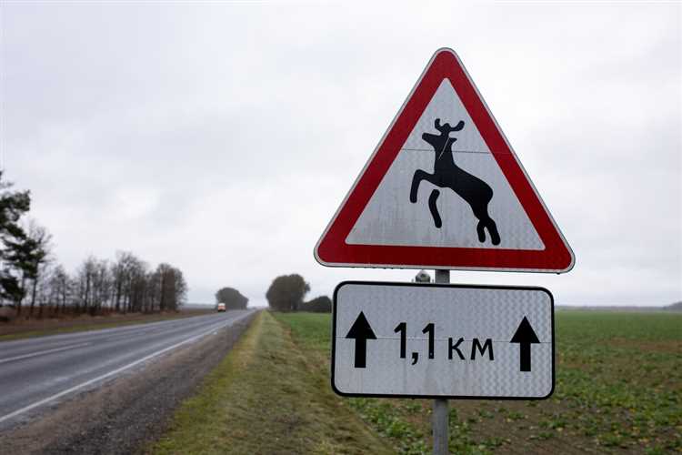 Как организовать взаимодействие с местной администрацией и дорожными службами