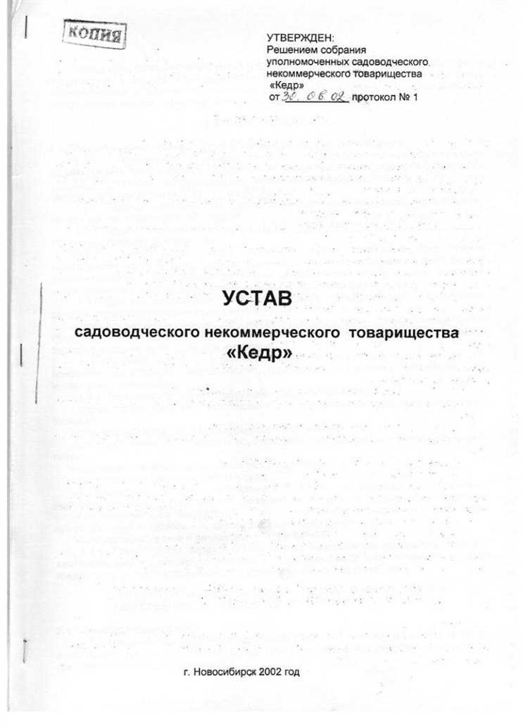 Какие данные нужны для запроса устава через интернет
