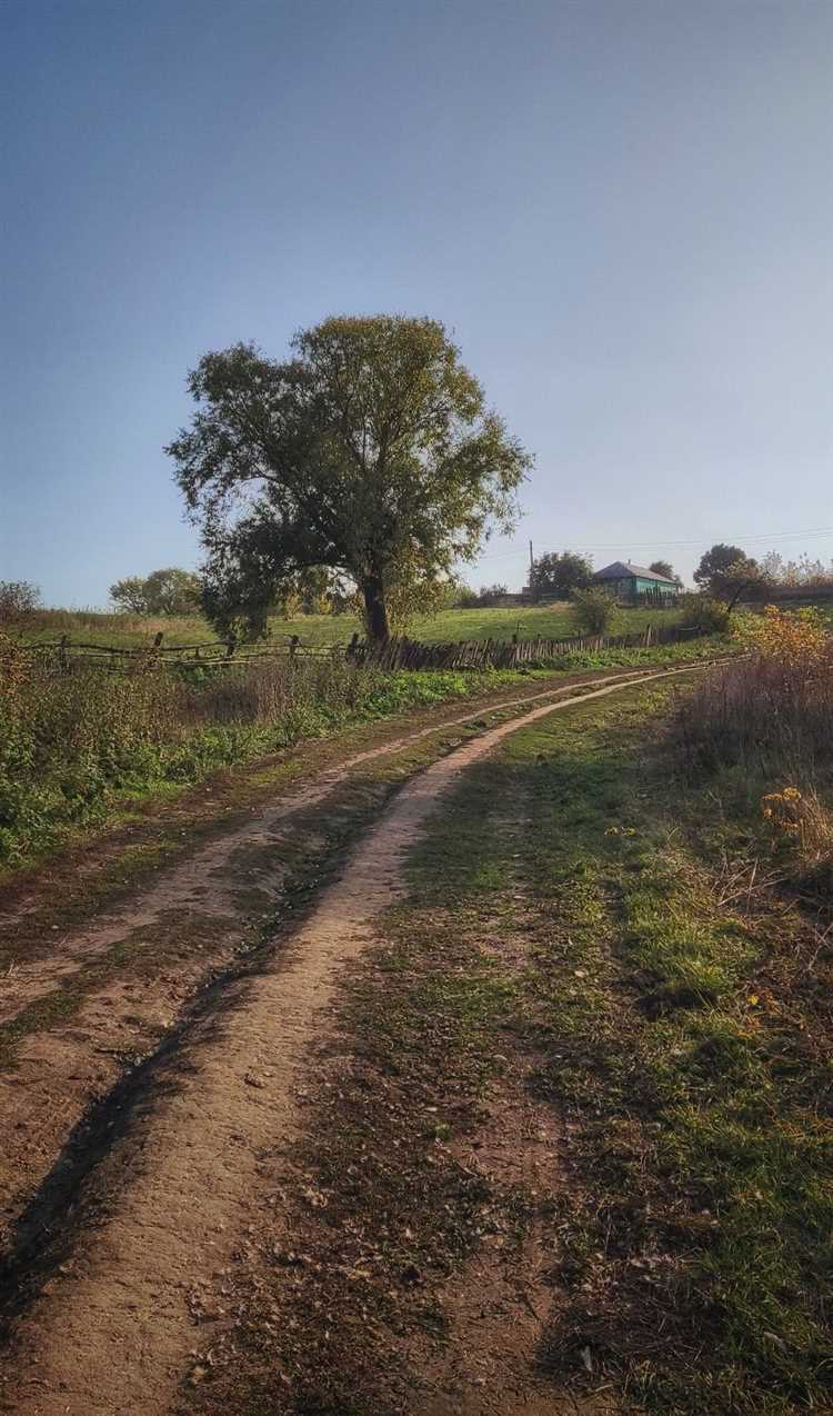 Как зарегистрировать дорогу в деревне Как зарегистрировать дорогу в деревне