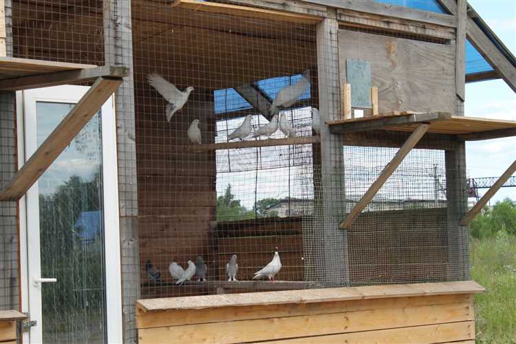 Обращение в управу района с заявлением на установку голубятни