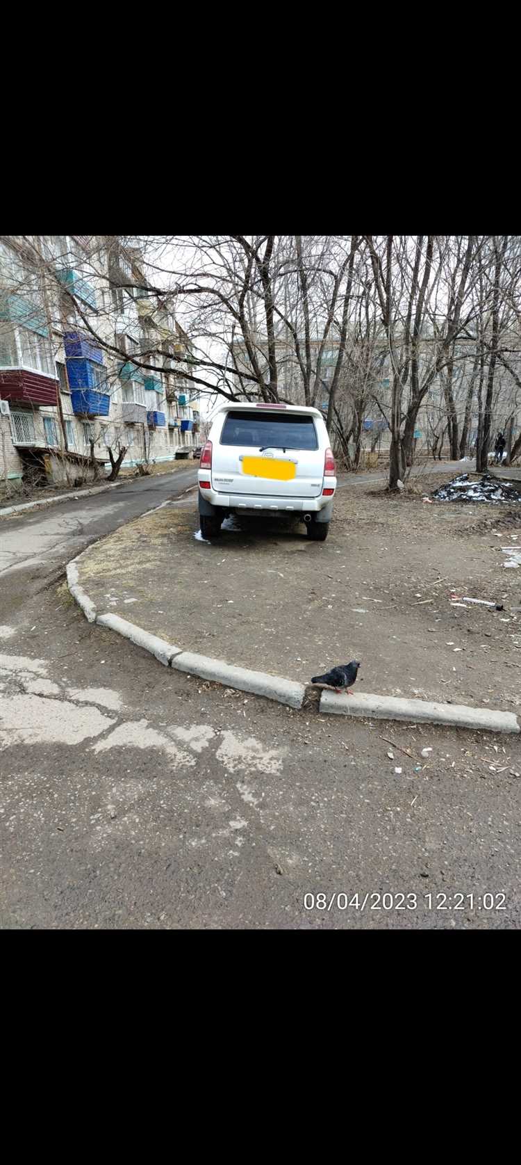 Как заставить администрацию сделать дорогу в деревне Как заставить администрацию сделать дорогу в деревне