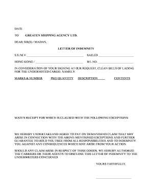 Определение Letter of indemnity на практике