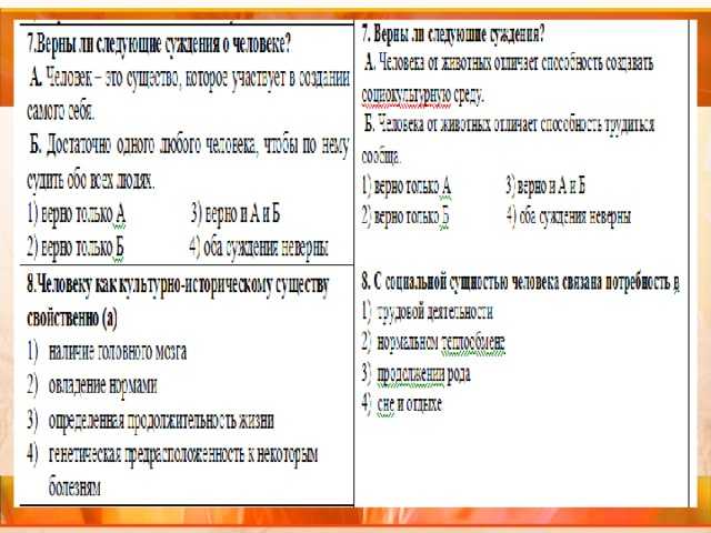 Когда вводится обществознание в школьную программу