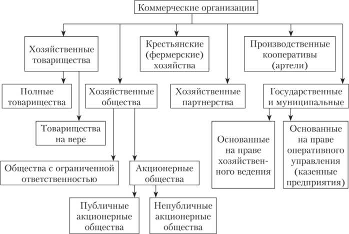 Роль свидетельства о регистрации в подтверждении создания ООО