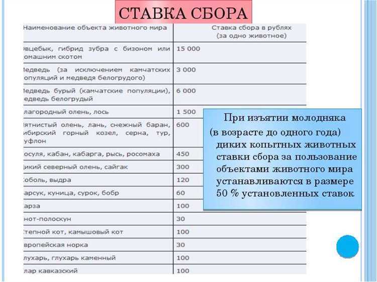 Как отражаются начисления и поступления сбора в бюджетной отчетности