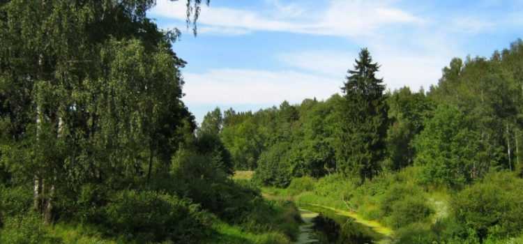 Чем отличается зачисление сбора за водозабор и за пользование биоресурсами