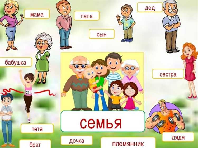 Определение семьи в семейном законодательстве