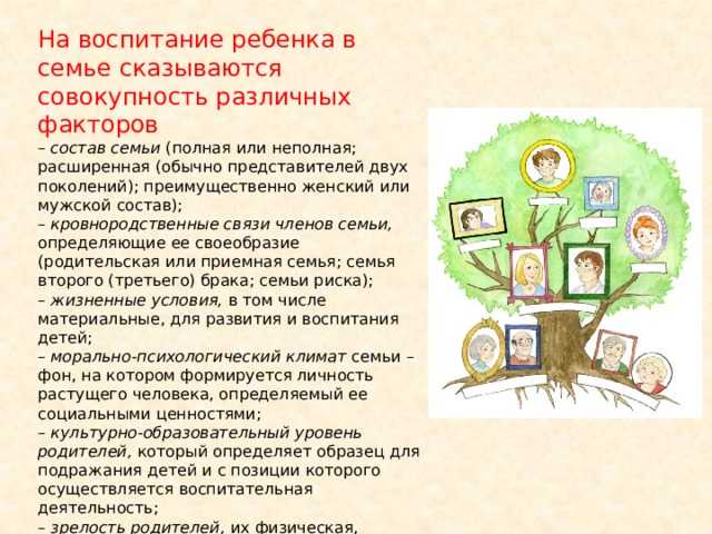 Кто учитывается членом семьи при наследовании