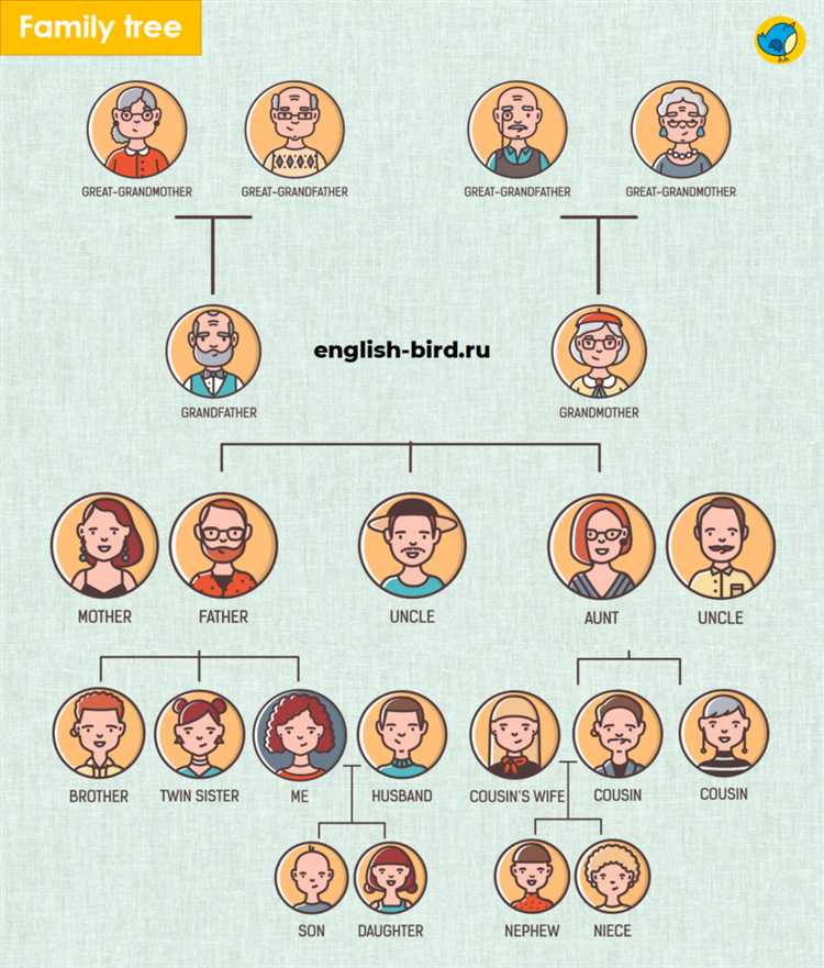 Закон выделяет несколько юридически признанных форм семьи. К ним относятся супружеские пары, зарегистрировавшие брак, родители и дети (как биологические, так и усыновлённые), а также опекуны и подопечные. Кроме того, члены семьи могут включать лиц, ведущих совместное хозяйство без официальной регистрации брака, если между ними сложились устойчивые фактические семейные отношения, что подтверждается судебной практикой.