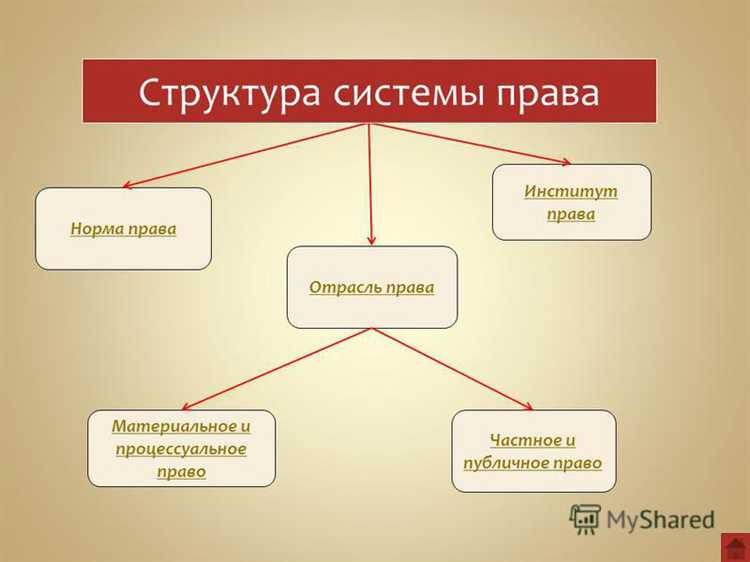 Чем отличается структура отрасли материального и процессуального права