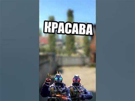 Как фраза используется в социальных сетях и современной культуре