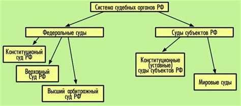 В чём отличие апелляционных судов общей юрисдикции от кассационных