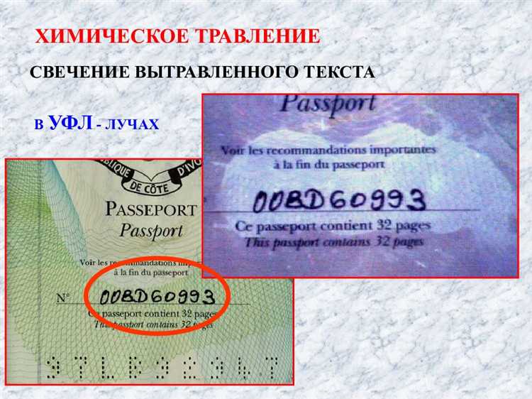 Какая ответственность предусмотрена за подделку официальных документов