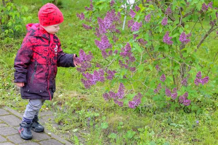 Какие документы нужны для оформления выплаты