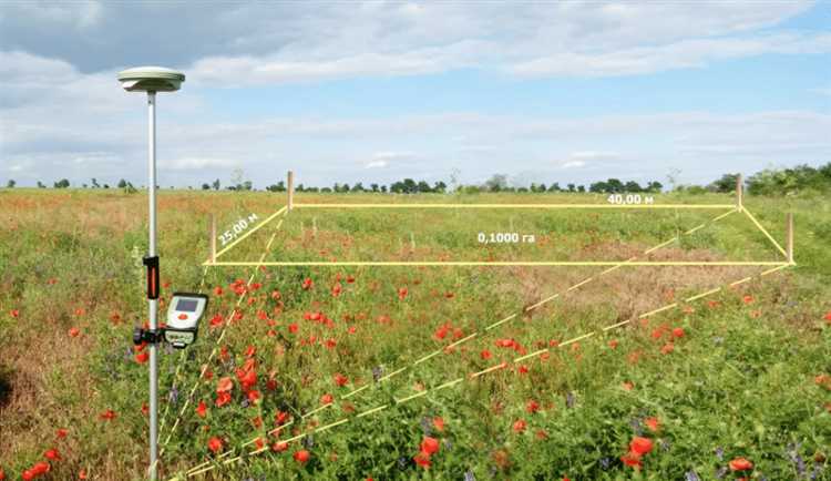 Как узнать цену межевания через онлайн-сервисы и калькуляторы
