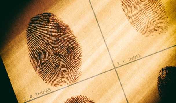 Чем различаются сроки хранения отпечатков в разных странах