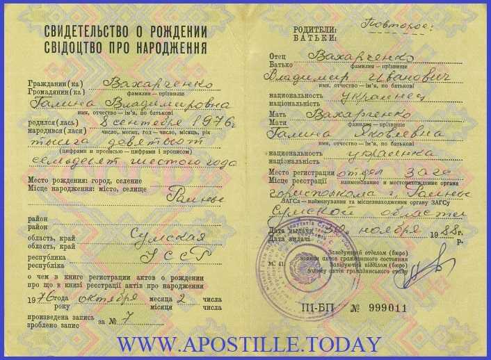 Сроки получения свидетельства для иностранных граждан