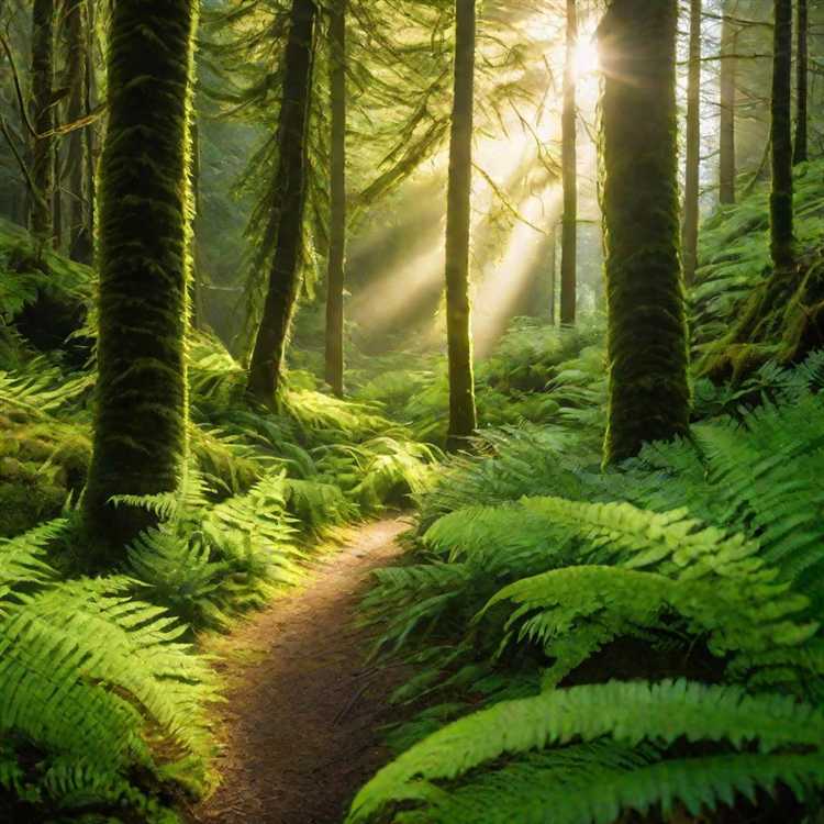 Сколько делается справка 079у для лагеря Сколько делается справка 079у для лагеря